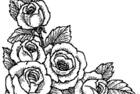 download dessin a imprimer rose pics download dessin a imprimer rose pics