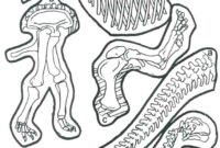 fossil coloring page fossil coloring page