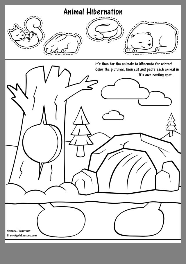 Hibernation Worksheet Kindergarten - Printable Word Searches