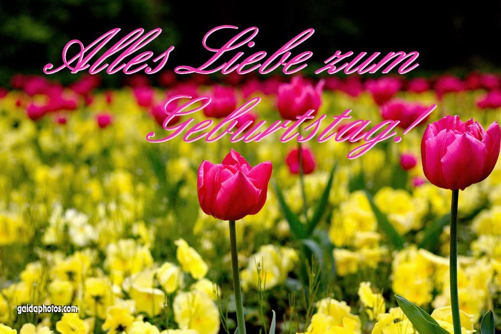 Geburtstagskarten zum selbst ausdrucken - Kostenlose Grußkarten