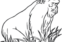 gorilla coloring pages printable gorilla coloring pages printable
