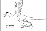 utahraptor coloring page utahraptor coloring page