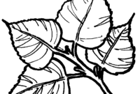 coloring pages of trees with leaves coloring pages of trees with leaves