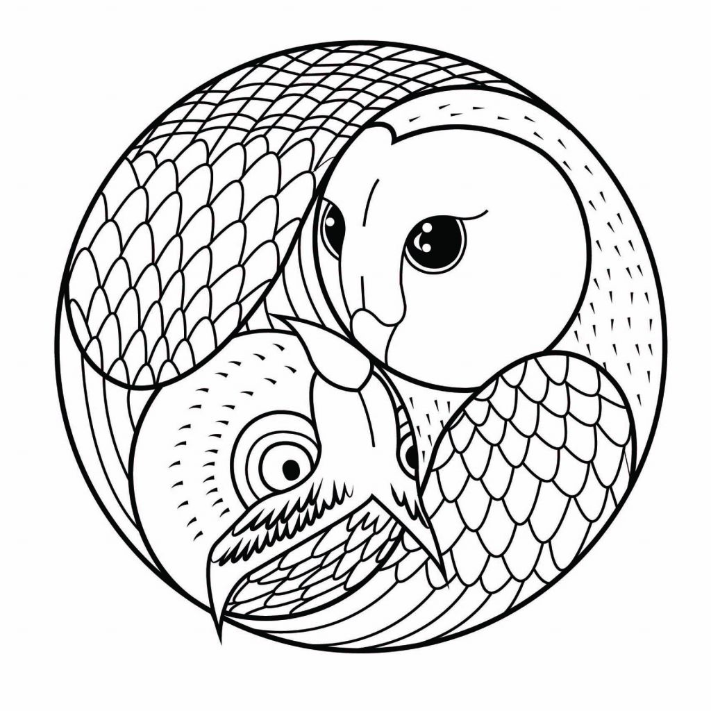 Mandala Animaux Facile à Imprimer Beau Photos Mandala Hibou Et Chouette