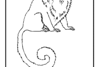 rainforest animals coloring page