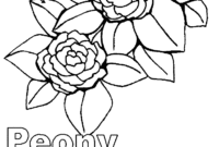 indiana coloring pages