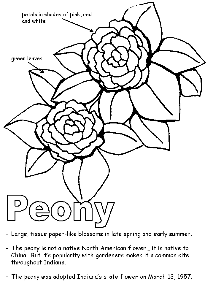 Indiana Flag Coloring Page - Coloring Home