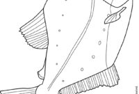 piranha coloring pages piranha coloring pages