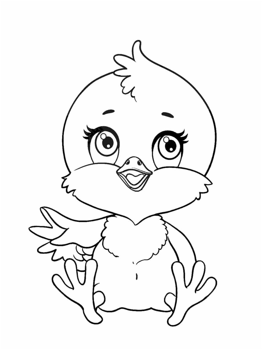 12 Petite Poussin Coloriage Photograph - COLORIAGE