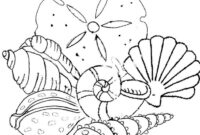 coloring pages sea shells coloring pages sea shells