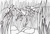 shrimp coloring pages shrimp coloring pages
