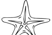 sea star coloring page sea star coloring page