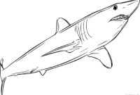 mako shark coloring page mako shark coloring page