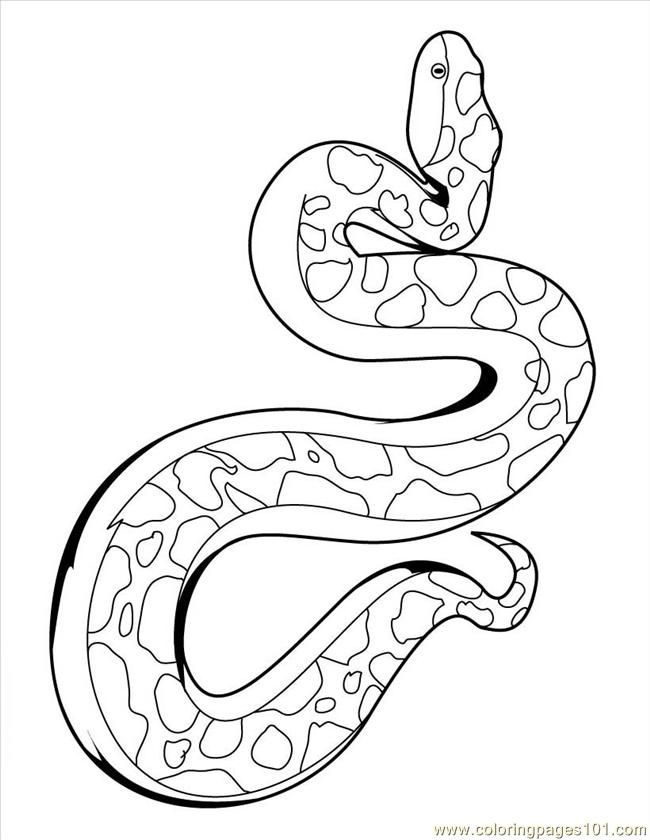 Coloring Pages Snake23 (Reptile > Snake) - free printable coloring page