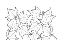 september coloring pages