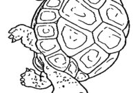 hugo l escargot coloriage a imprimer hugo l escargot coloriage a imprimer