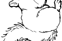 squirrels coloring pages squirrels coloring pages