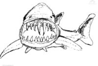 shark printable coloring pages