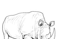 rhino pictures to color rhino pictures to color