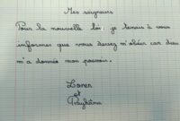 ma maitresse de cm1 cm2 anne a prhistoire