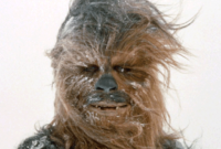 lan trotro lan trotro