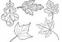 fall leaves printable coloring pages fall leaves printable coloring pages