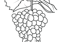grapes coloring page grapes coloring page