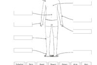 mein korper und ich kindergarten mein korper und ich kindergarten
