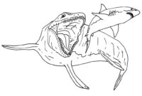 mosasaurus coloring page mosasaurus coloring page