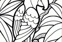 coloring pages parrot