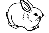 colouring of rabbit colouring of rabbit