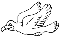 seagull coloring pages
