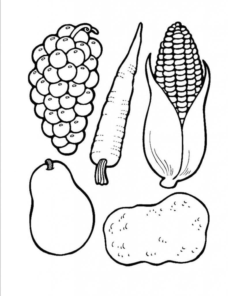 Thanksgiving Food Coloring Pages Fruits and Vegetables - Free Printable