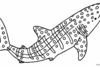 whale shark coloring pages