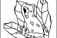 poison dart frog coloring pages poison dart frog coloring pages