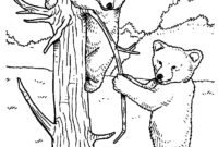bear cub coloring page bear cub coloring page