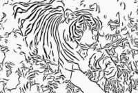 clemson coloring pages