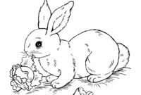 12 coloriages lapin background