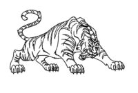 dessin de tigre a colorier et a imprimer dessin de tigre a colorier et a imprimer