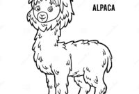 alpaca coloring pages alpaca coloring pages