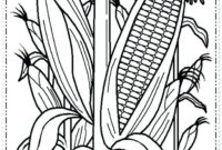 corn stalk coloring page