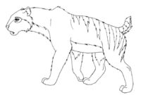 saber tooth tiger coloring page