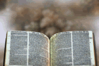12 um book of worship gif 12 um book of worship gif
