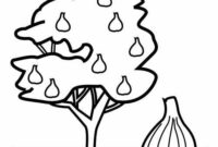 parable of the fig tree coloring page parable of the fig tree coloring page