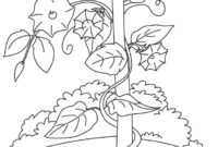 vine coloring page