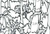 rainforest pictures to color rainforest pictures to color