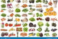 was ist alles gemuse