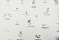 carnet de coloriage marabout carnet de coloriage marabout