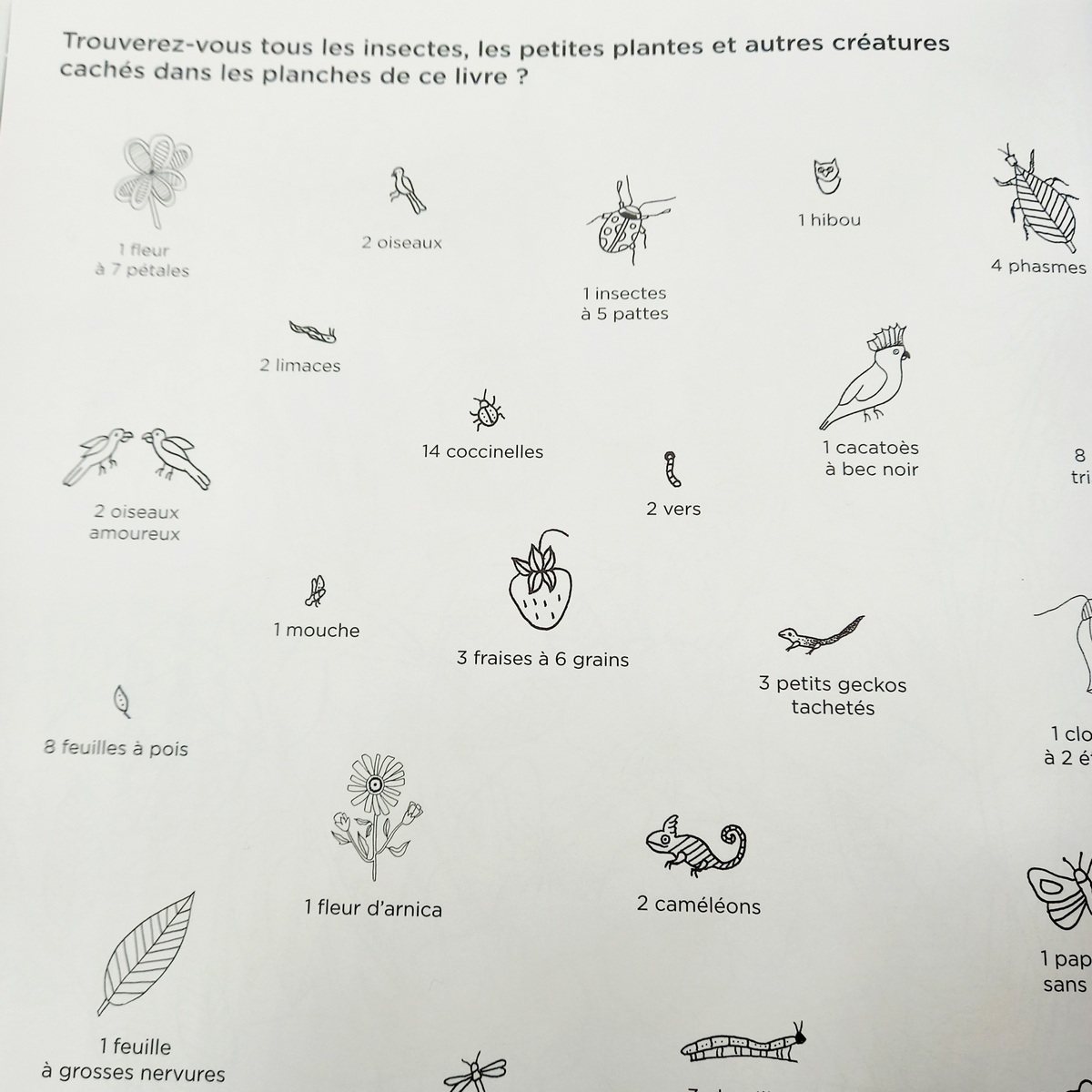 Carnet de coloriage / Botanique & petites bêtes / Jeune & adulte