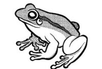 frog and toad coloring page frog and toad coloring page